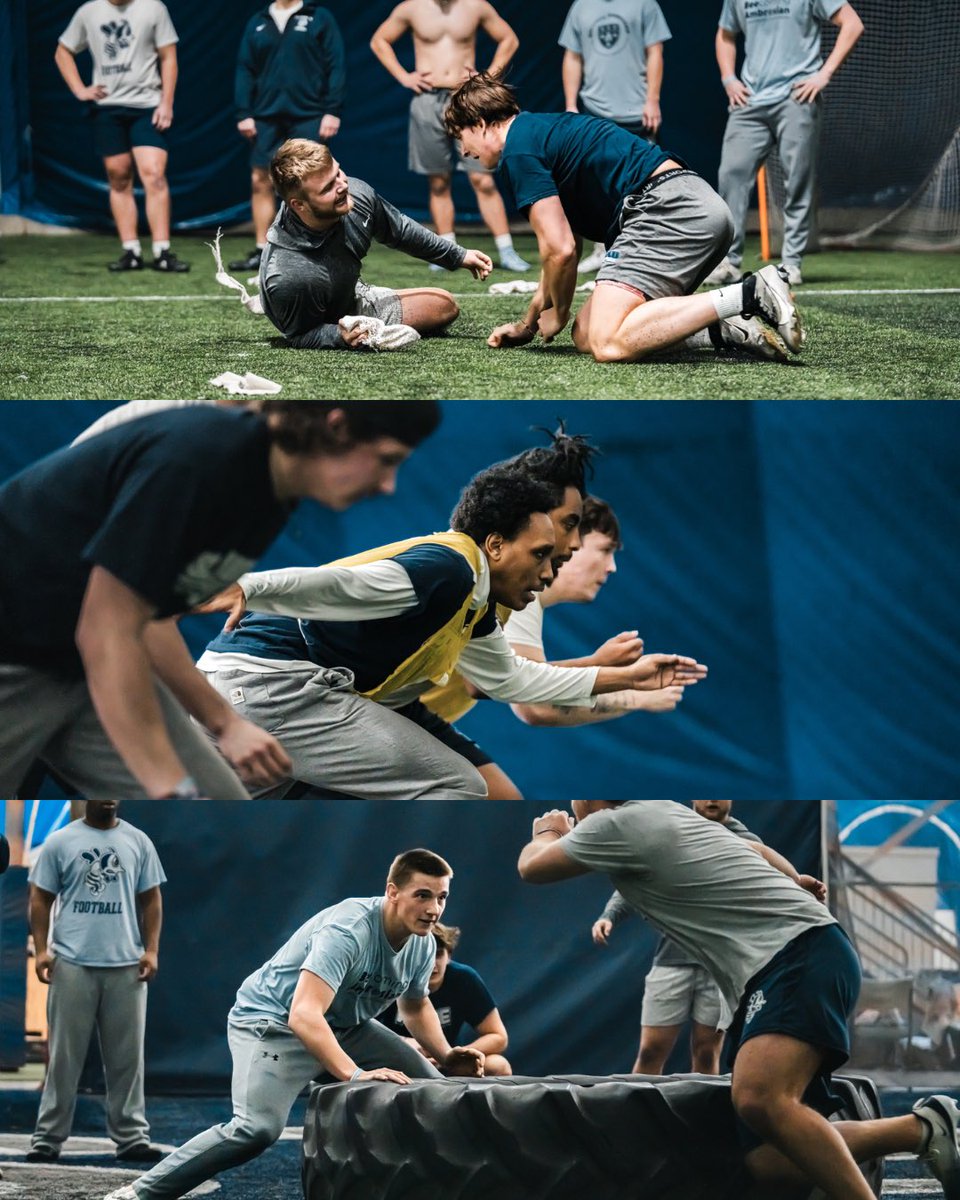 St. Ambrose Football tweet media