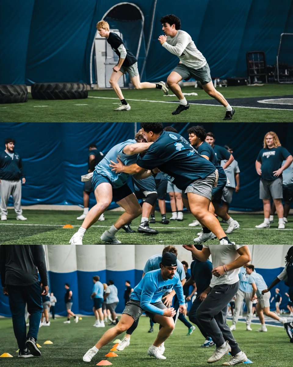 St. Ambrose Football tweet media