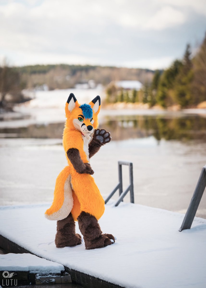 Electrix Fox tweet media