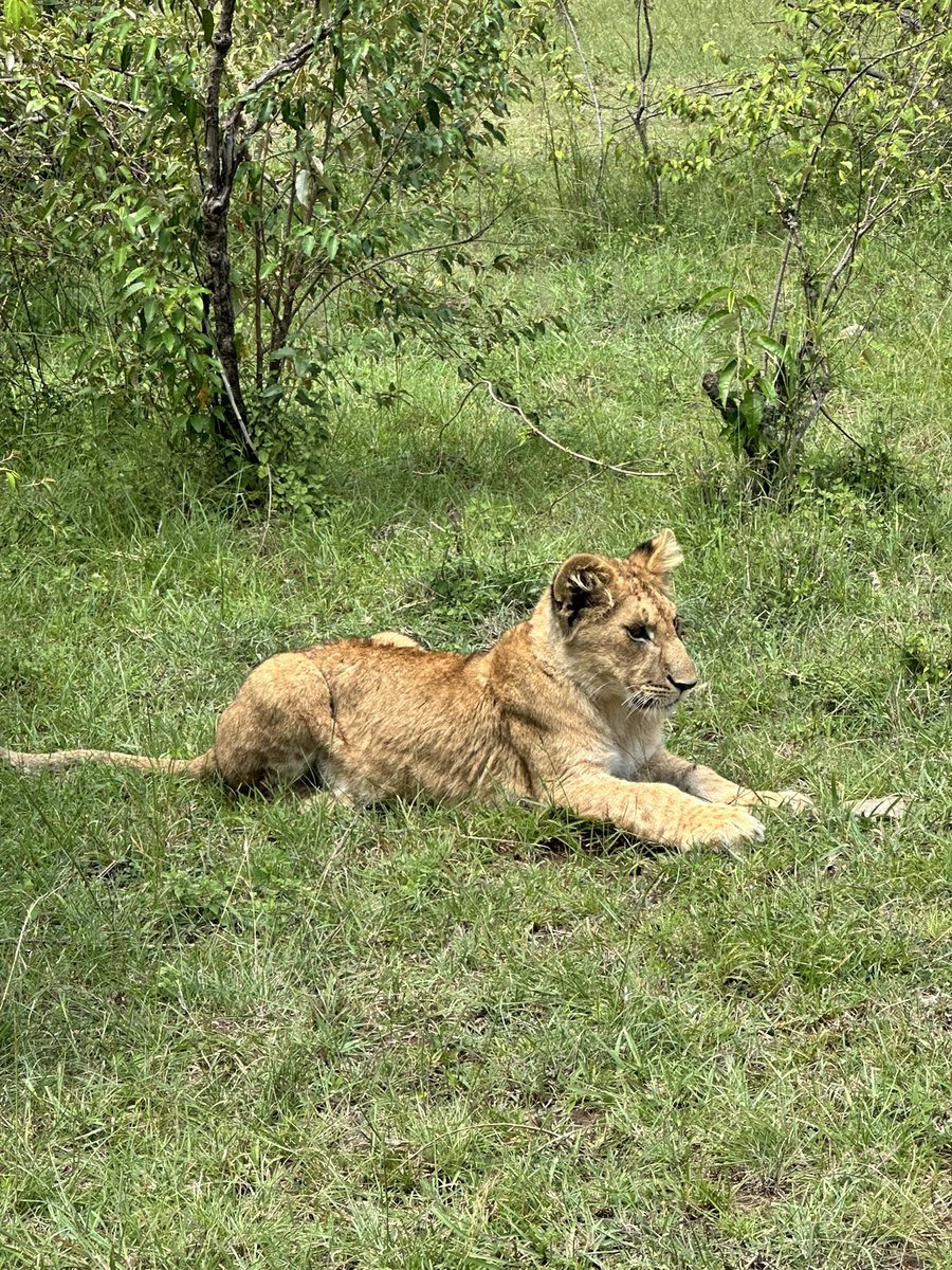 Liquid Chalk tweet media