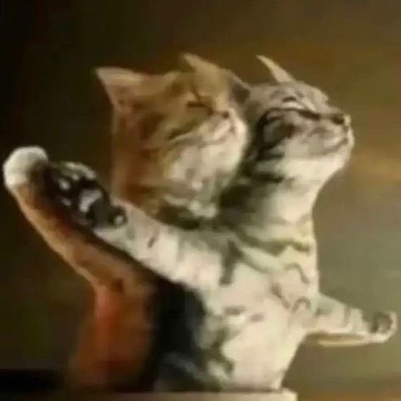 quieres ser el awawa de mi iwiwi