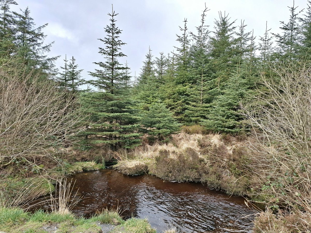 Richard_M_Owen's tweet photo. Find #peace away from the noise.
#rollonspring #outdoors #trekking
#hills #forests #home #isolation #Pembrokeshire ๐ด๓ ง๓ ข๓ ท๓ ฌ๓ ณ๓ ฟโฐ๏ธ๐งญ๐ https://t.co/R6aQcL9LbL