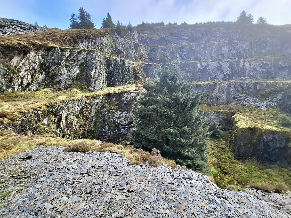Richard_M_Owen's tweet photo. Find #peace away from the noise.
#rollonspring #outdoors #trekking
#hills #forests #home #isolation #Pembrokeshire ๐ด๓ ง๓ ข๓ ท๓ ฌ๓ ณ๓ ฟโฐ๏ธ๐งญ๐ https://t.co/R6aQcL9LbL