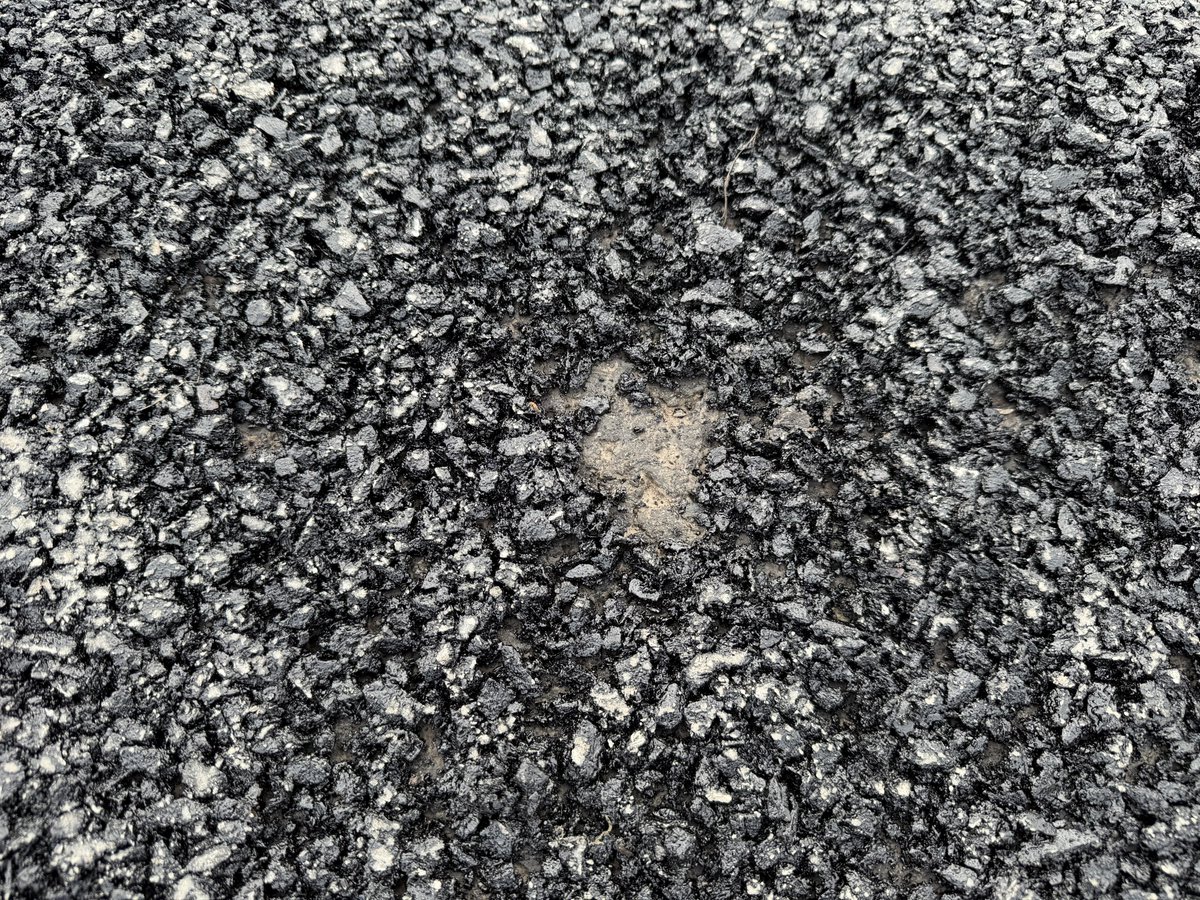 Daniel Brown tweet media