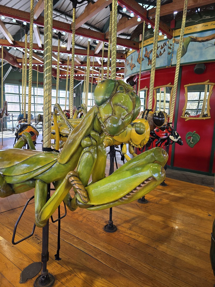 the human sadiepede 2 tweet media