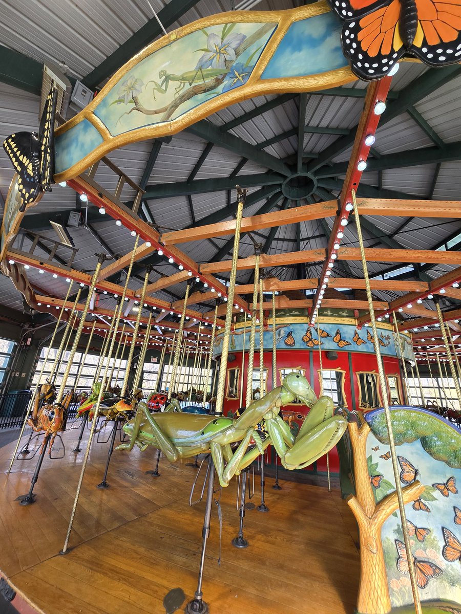 the human sadiepede 2 tweet media