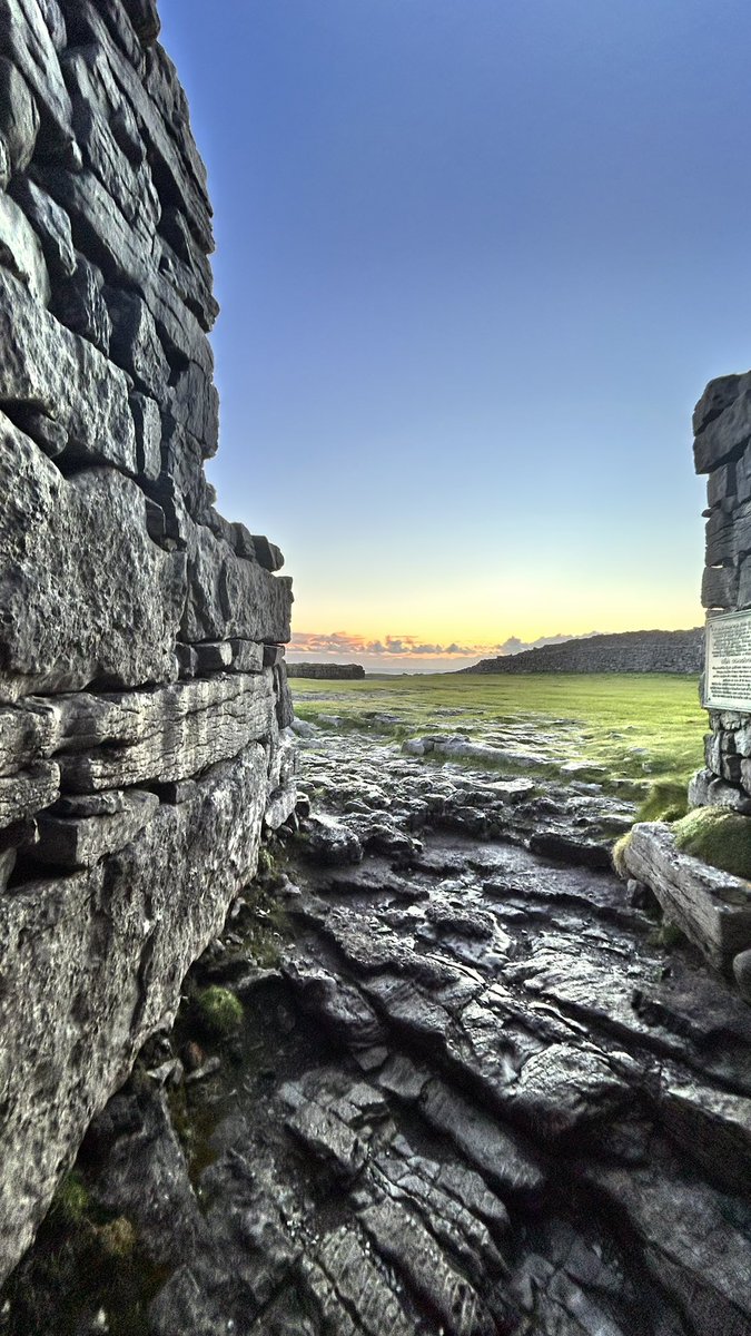 DiveAran tweet media