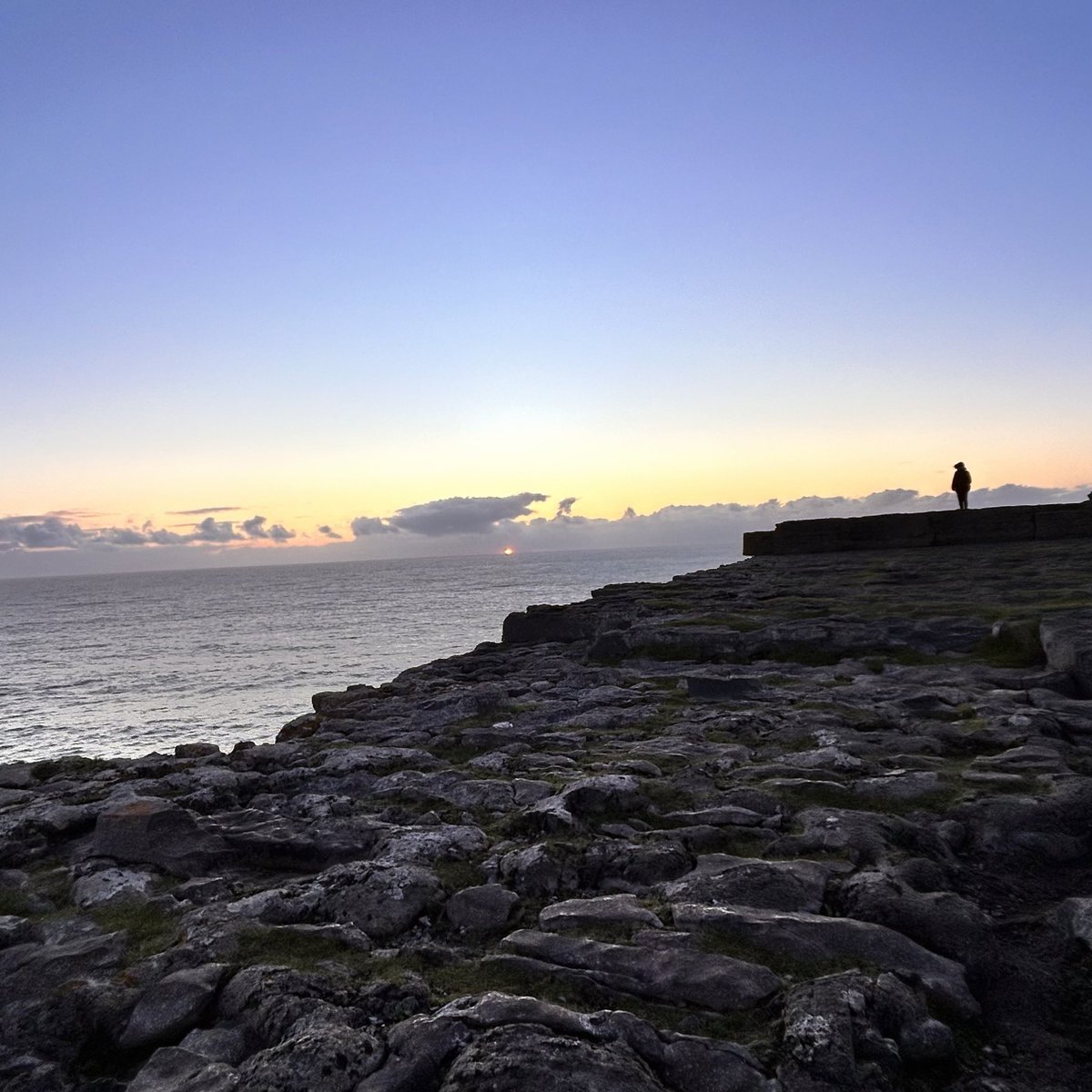 DiveAran tweet media