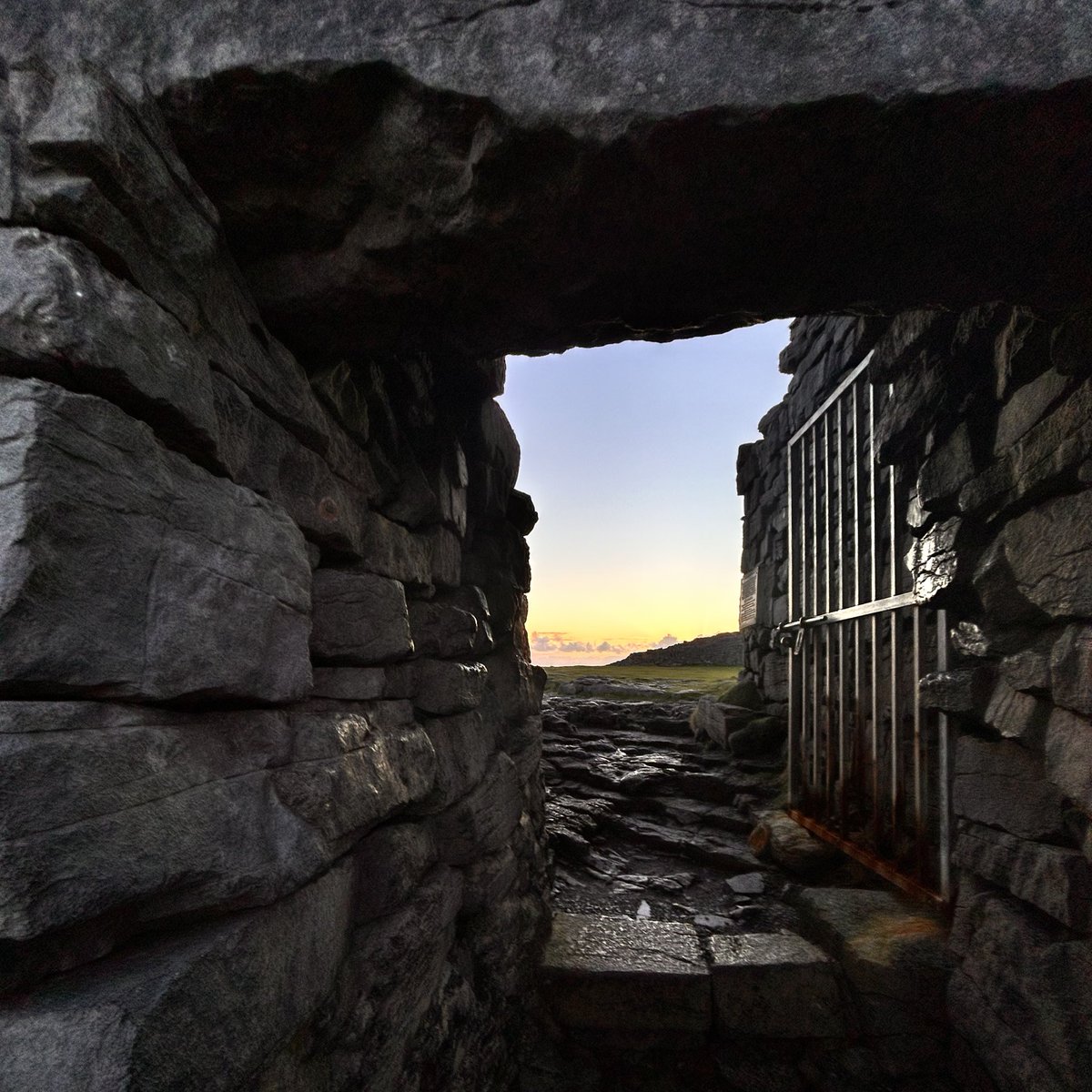 DiveAran tweet media