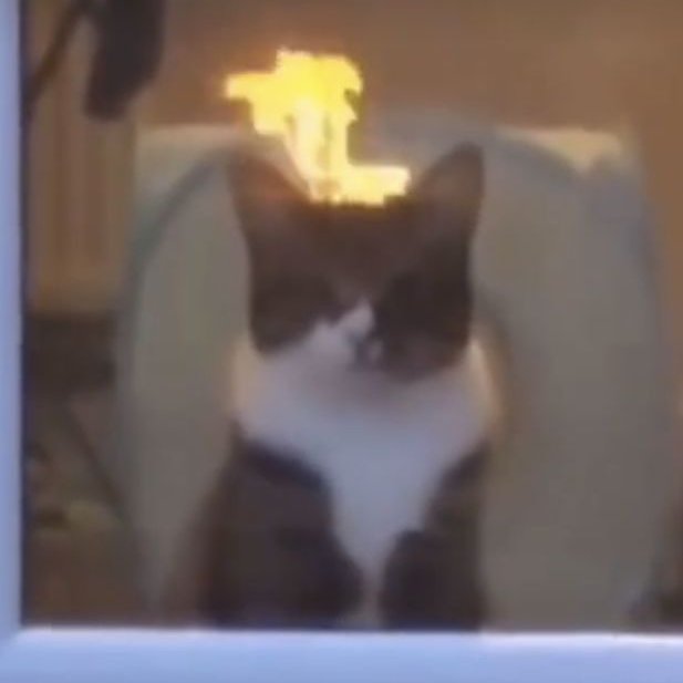 💜 EN VIVO 💜

Charlemos un rato en lo que se termina un mes... completamente de locos yexikitties:

twitch.tv/yexikaa/
twitch.tv/yexikaa/

#vtuber #vtubers #vtuberES