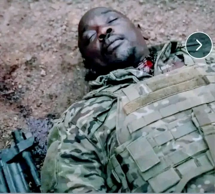 Tim Omba tweet media