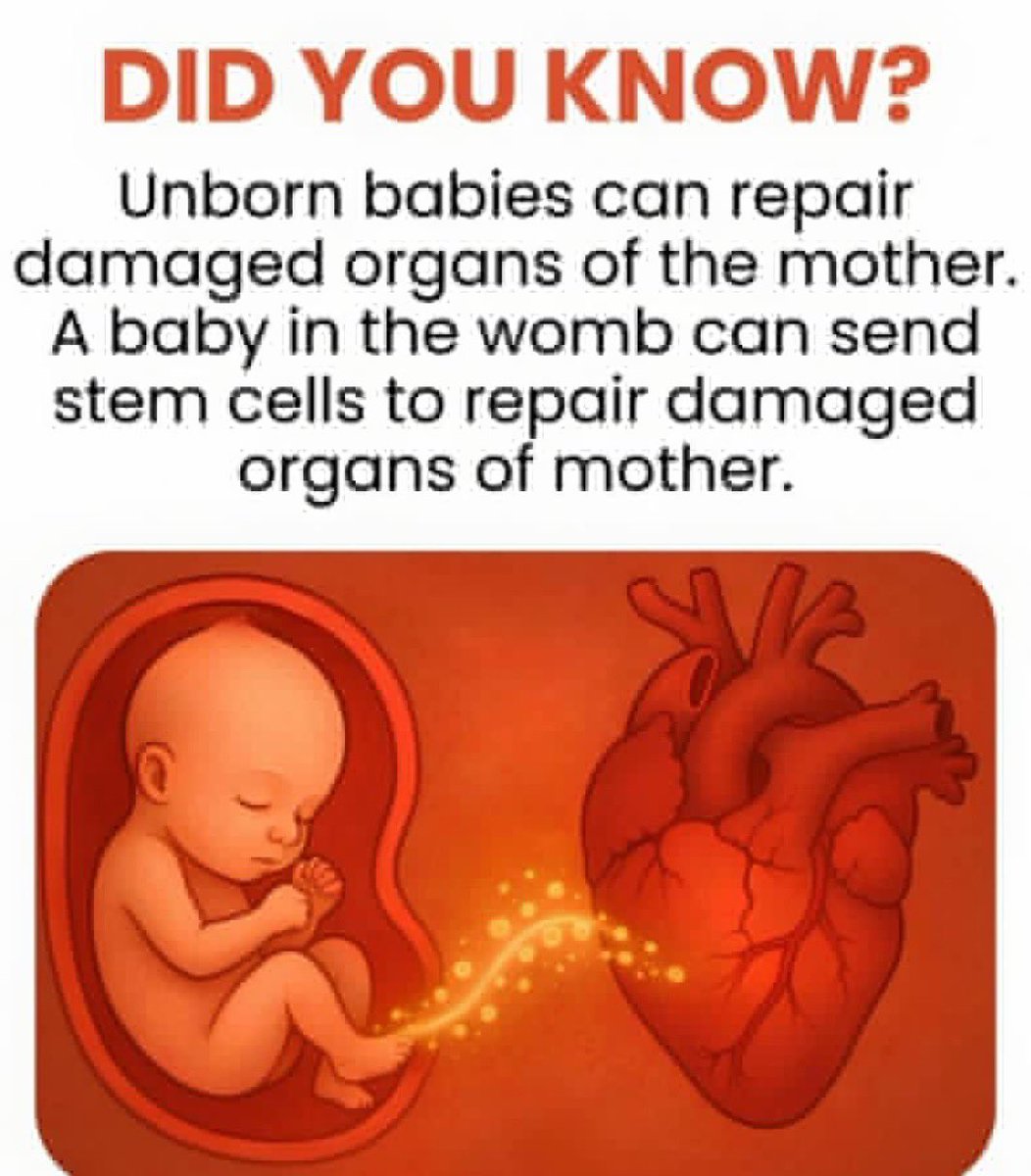 HolisticHHQ's tweet photo. Did you know ? https://t.co/TCqExmfOTj