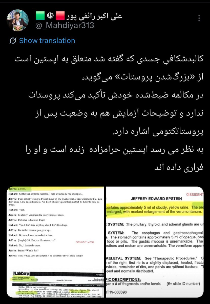 امیرحسین جعفری tweet media