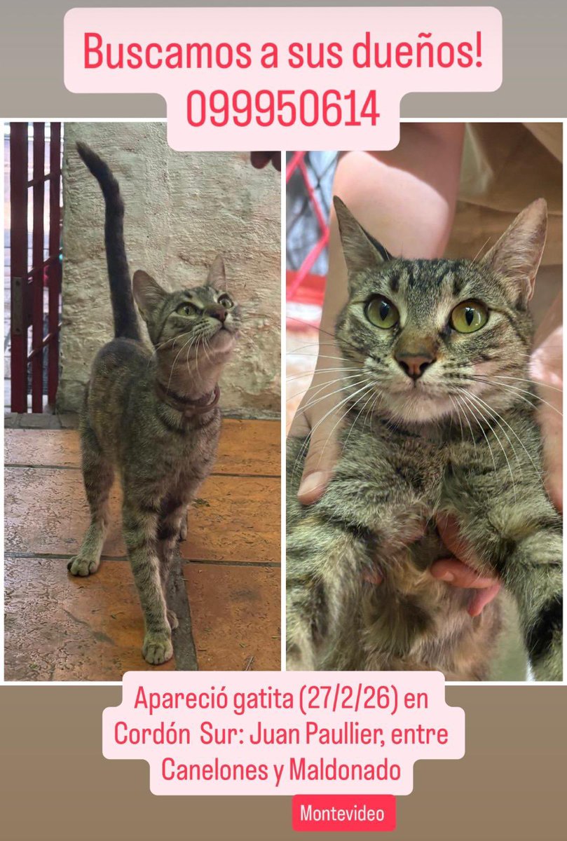 Keyser Söze tweet media