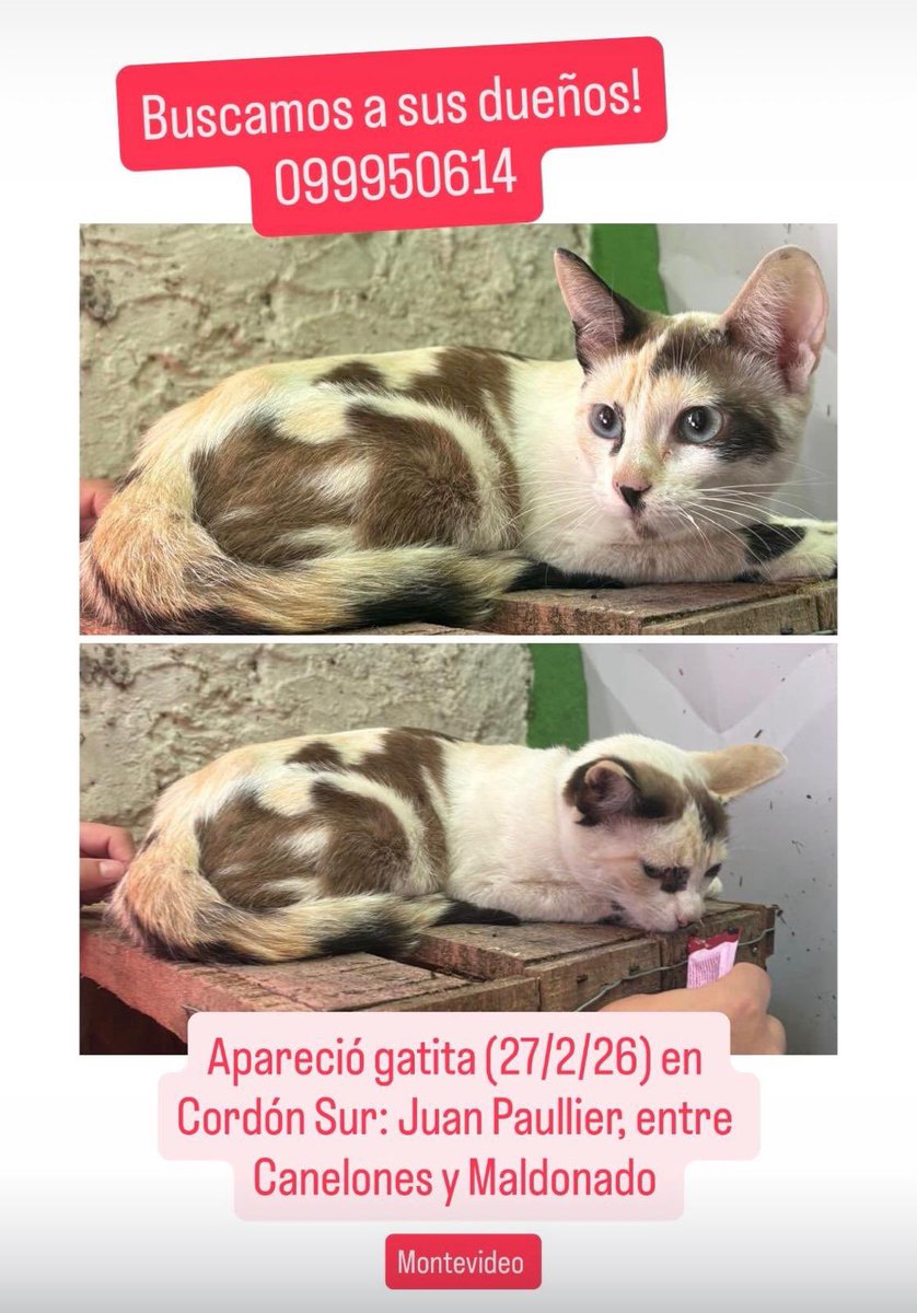 Keyser Söze tweet media