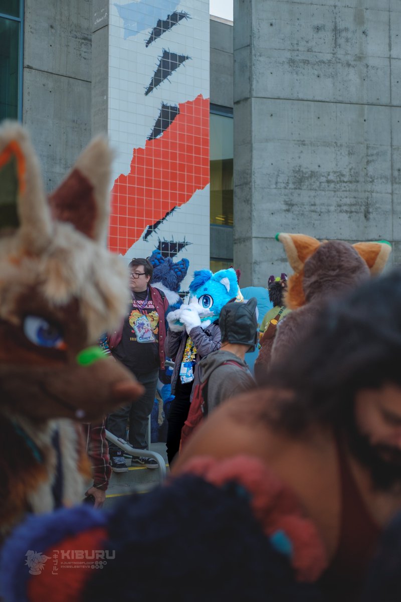 Pixel Husky 🐾 tweet media