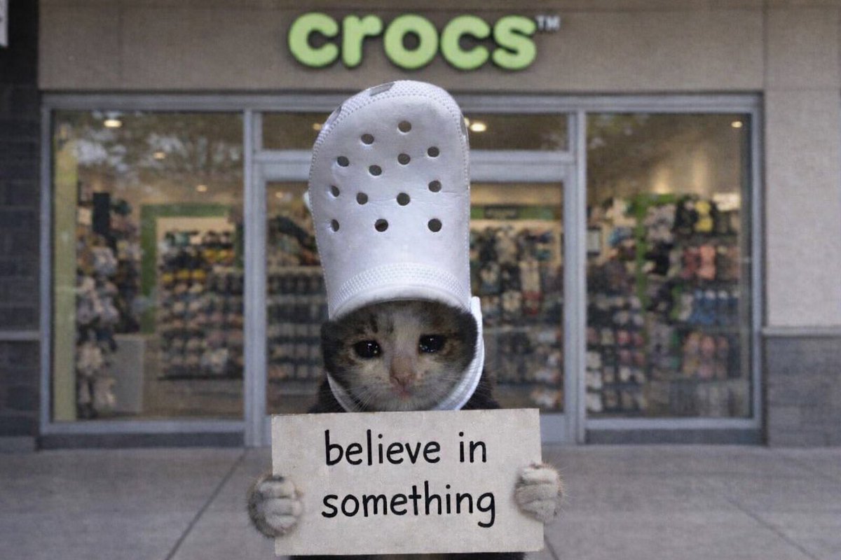 croc tweet media