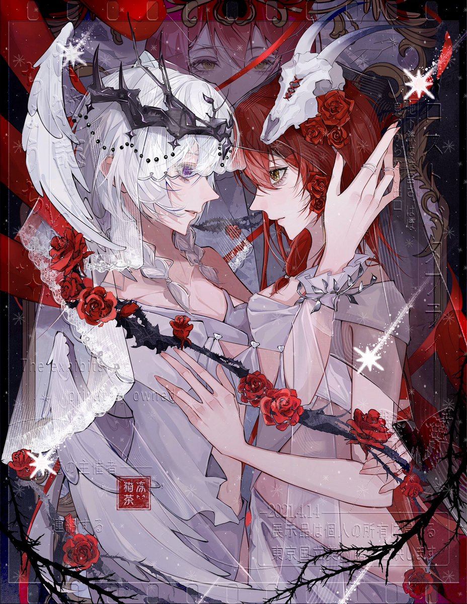 长岛猫茶 tweet media