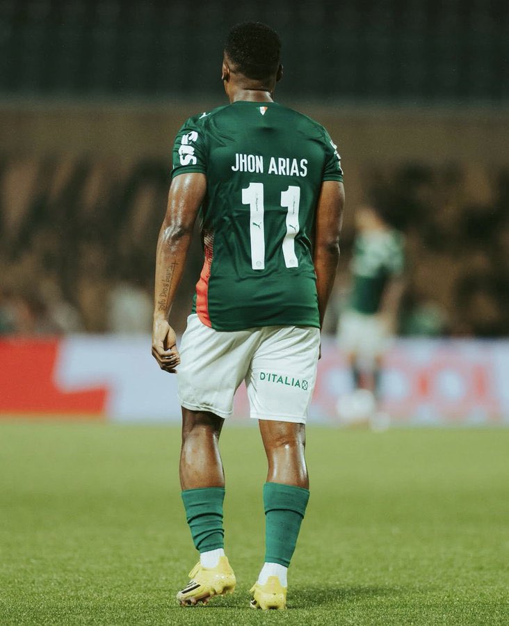 Palestrino SEP 🇮🇹🟢 tweet media