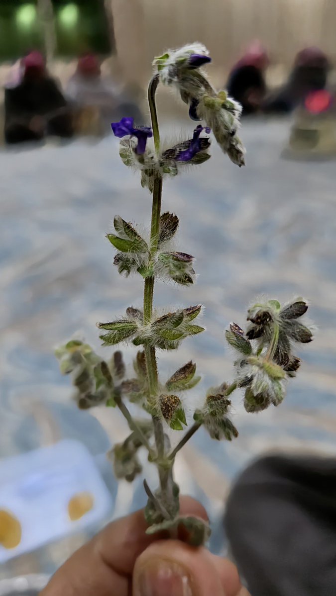 دايم #بدايه كل شي يكون ببطئ

ثم تبدأ رحلة الكفاح لكل إنسان بسرعة كبيرة