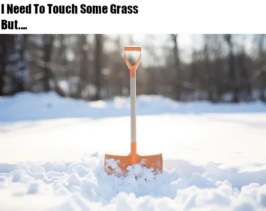 TrebleKnight's tweet photo. You can't touch grass in the winter 😭 https://t.co/ozzvurVrY8
