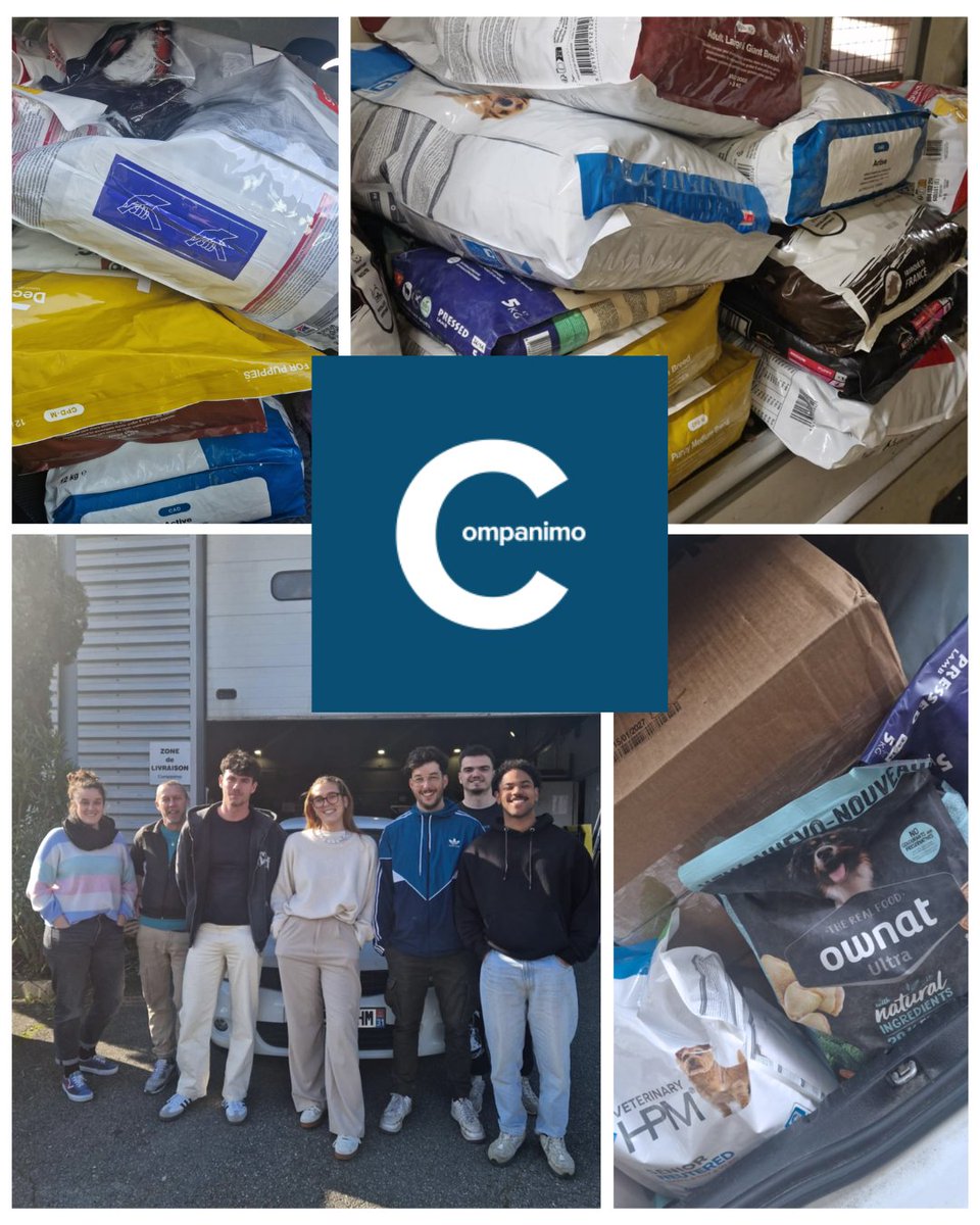 RefugeAgir's tweet photo. Un immense merci à la super Team de Companimo pour ses dons pour nos loulous et pour son soutien régulier📷
→ https://t.co/i0SPOj9M8N : La boutique en ligne pour faire plaisir à vos chiens, chats, NAC et chevaux!

#adoptdontshop #balma https://t.co/YsR72oEB49