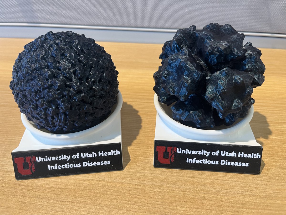 UUIDFellowship's tweet photo. Happy Thank a Fellow Day!

We are so thankful for our fellows &amp; their work within the ID program, division &amp; the healthcare system! We are so glad they chose to train with us.

Thank you, Drs Matson, Patel, Singh, Ramseyer &amp; Truman!
#uofutahidfellowship #uofuhealth https://t.co/MLd31pP1l4