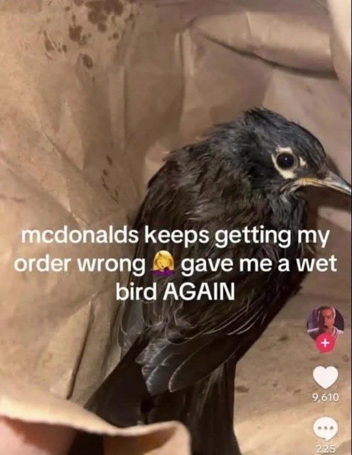 Earth Updates (@earth_updates) on Twitter photo 