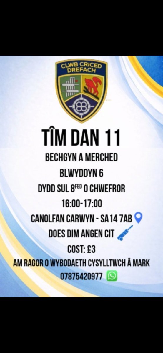 Drefach Cricket Club tweet media