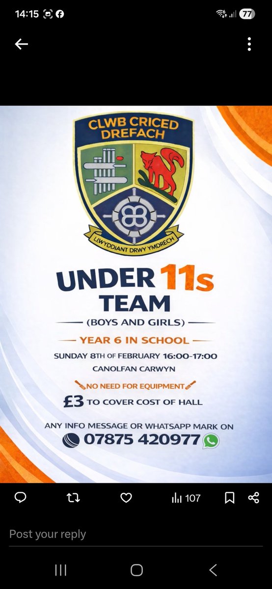 Drefach Cricket Club tweet media