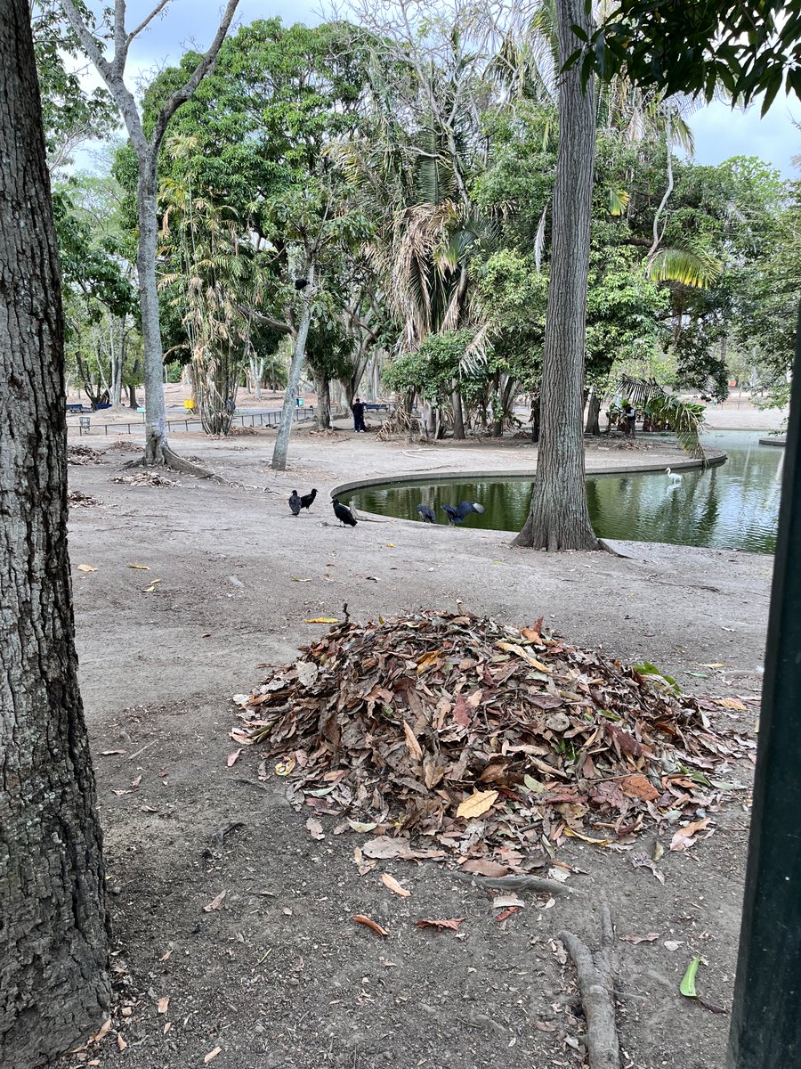 Maria Gabriela Escovar tweet media