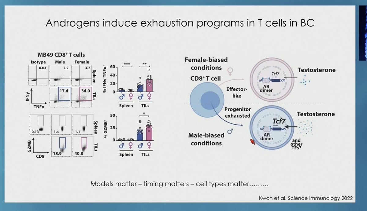 Andrea Apolo, M.D. tweet media
