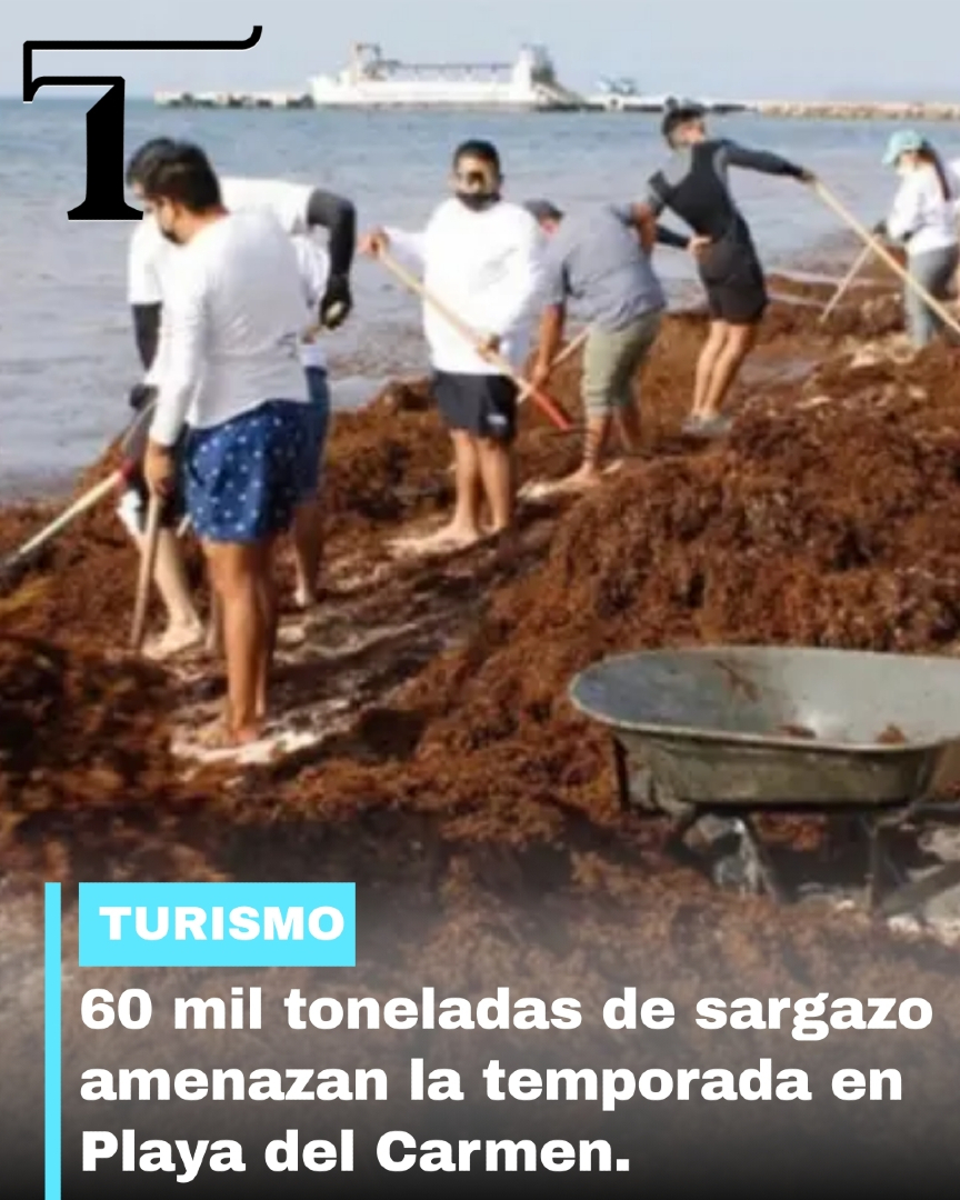 El Sargazo creciente es un desafío estructural para el Caribe mexicano y exige atención nacional, más allá de proyectos como el Tren Maya.
goo.su/LyWB3qo
#turismo