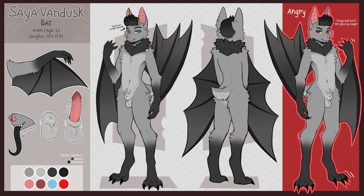 Shteinnn's tweet photo. ref sheet for Saya https://t.co/rZFQkl3Mi5