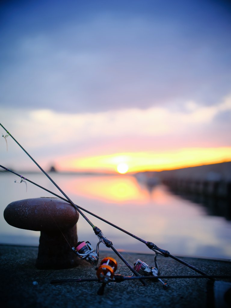 🆕TFL改を鋭意開発中💪 昨年リリースTFL極致同様、 スピニングを極める