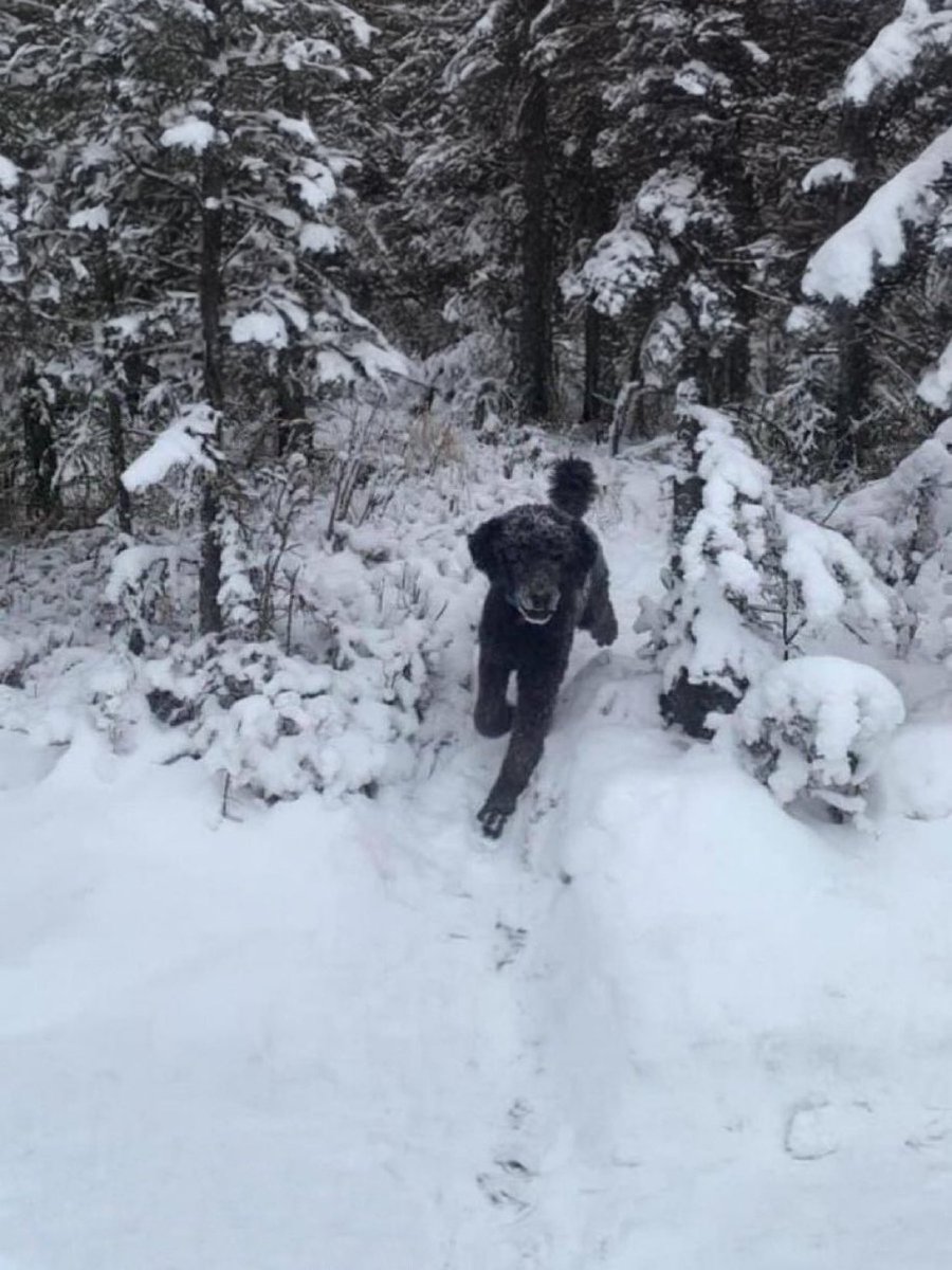 Sherri Unfiltered™ tweet media