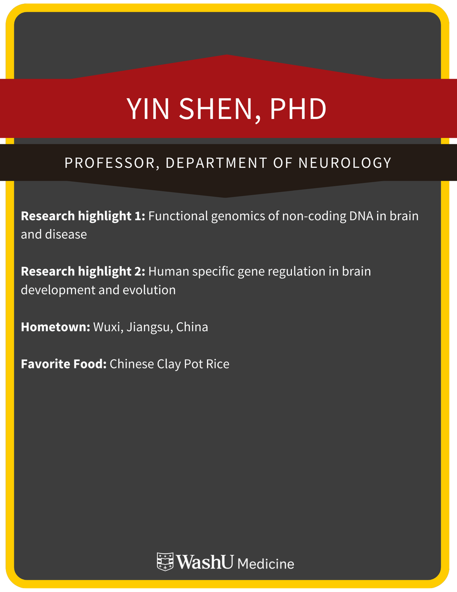 WashU Medicine Genetics tweet media