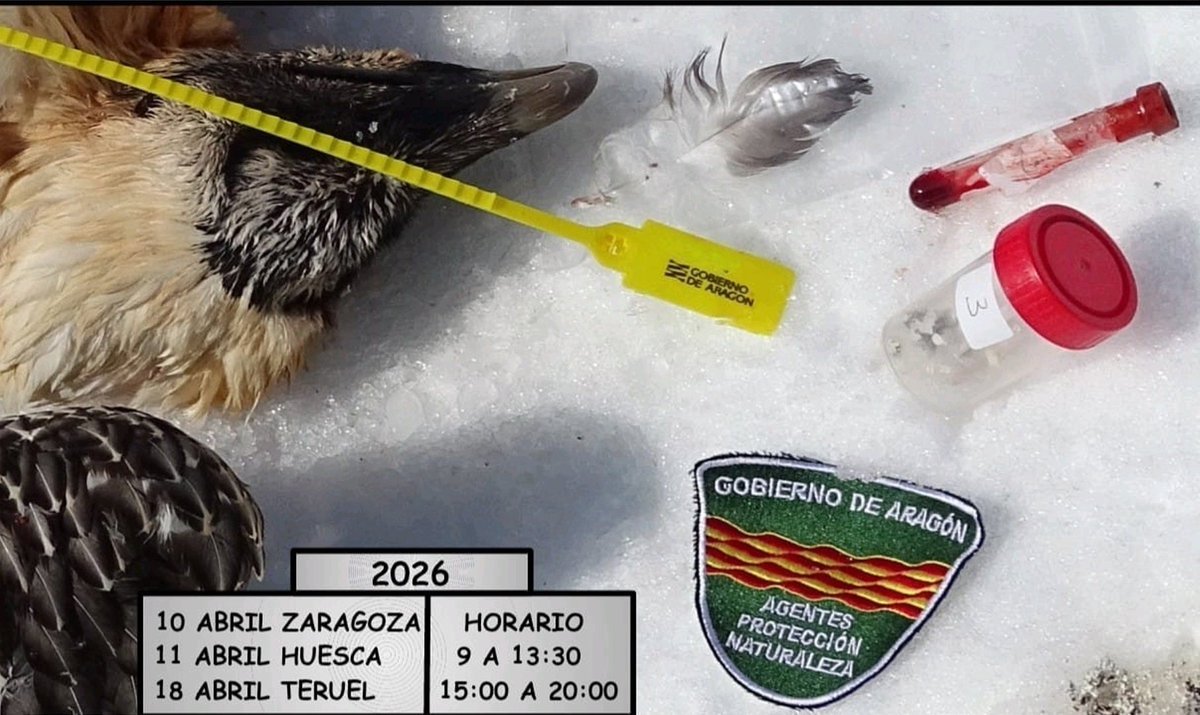 Asociación🇪🇦Agentes Medioambientales tweet media