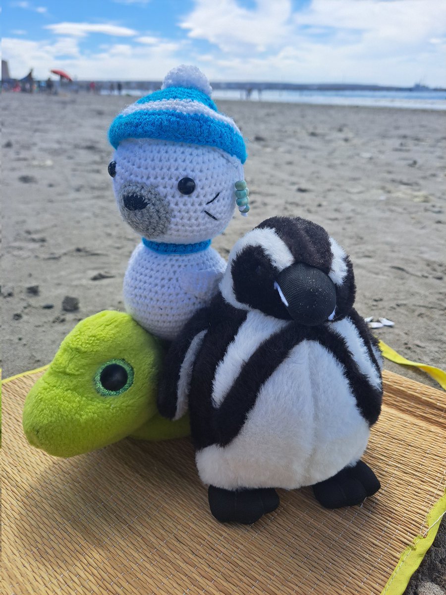 Schaut mal, wer bei uns eingezogen ist. Ein pingüino de Magallanes. Er heißt Leopoldo.