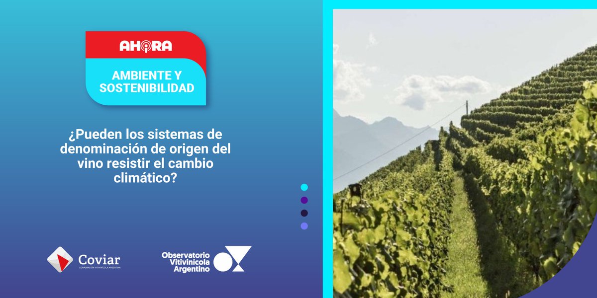 Observatorio Vitivinícola Argentino tweet media