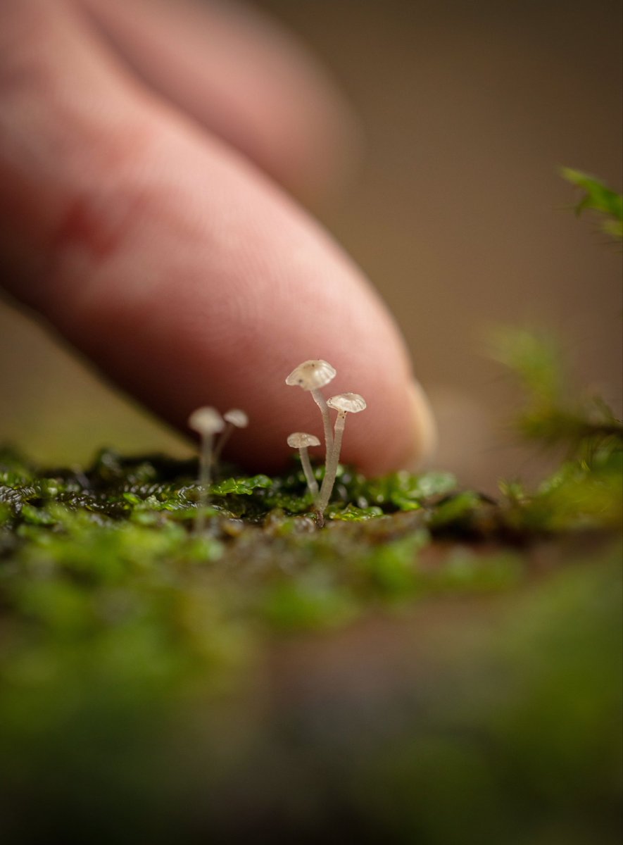 Alison Atwell tweet media