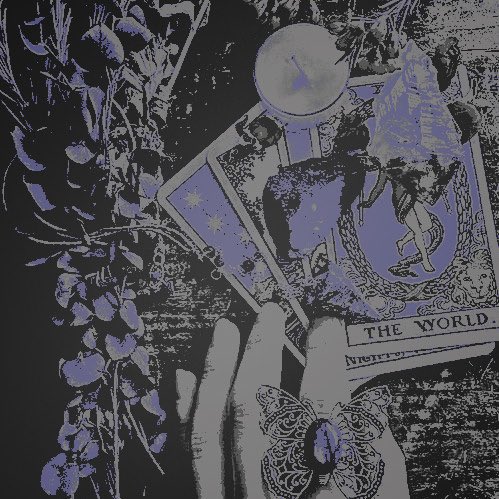 ‍‍‍‍‍‍ ‍‍‍‍ ‍‍ ‘🪻࿔‍‍‍‍ ‍‍‍‍ ℳ𝒂͟𝒆͟𝒗͟𝒆 tweet media