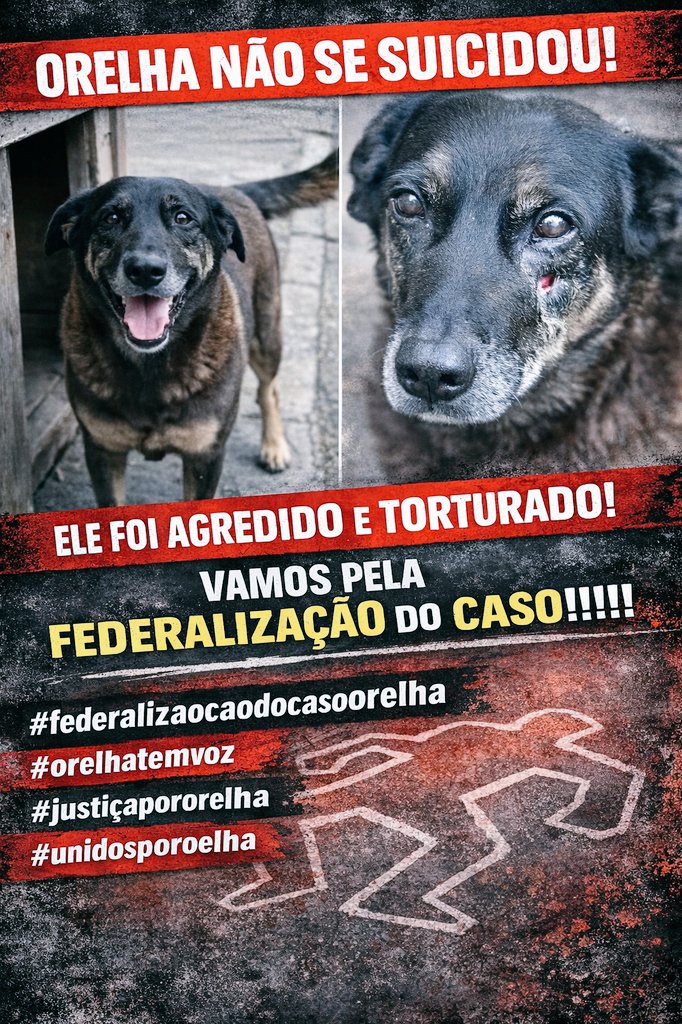PatoAPDavis's tweet photo. Orelha não se suicidou!

MPSC ORELHA MERECE JUSTIÇA https://t.co/2EIjVyaugg