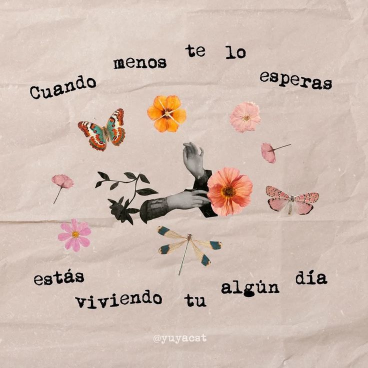 🔴 ESPACIO tweet media