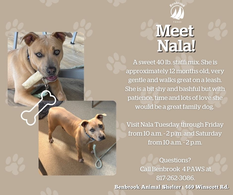 City of Benbrook, TX tweet media