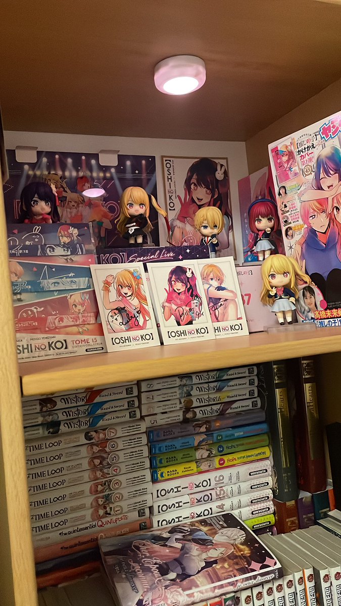 Elisa Hoshino ✶ tweet media