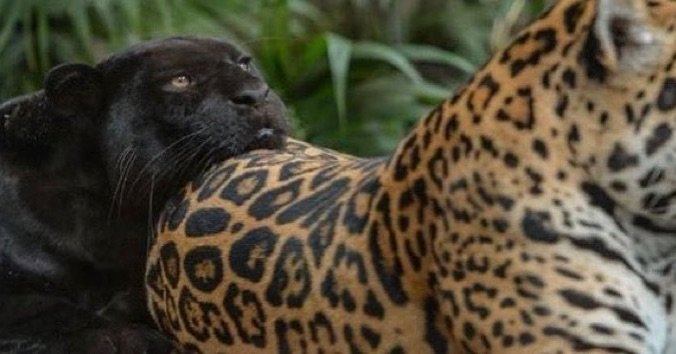 𓆩♡𓆪 (@fairyprxncess) on Twitter photo 