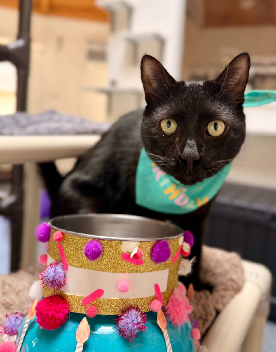 Kindness Ranch tweet media