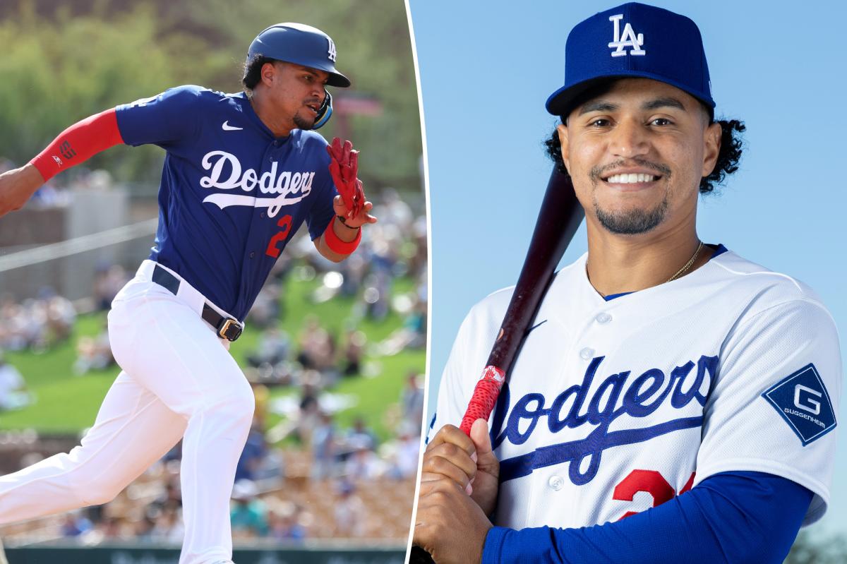 Ex-All-Star Santiago Espinal is real Dodgers roster candidate trib.al/AgTErB8
