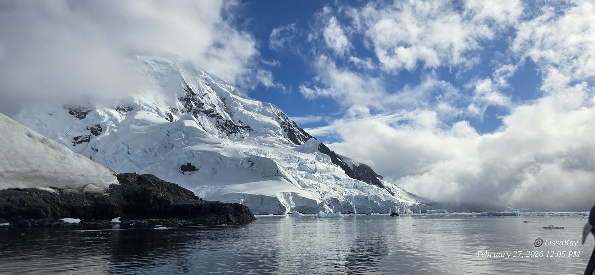 LissaKay - Can't stop the signal, Mal tweet media